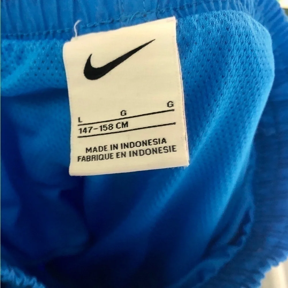 🦜Nike Blue Split Logo Volley Lined Swim Trunks